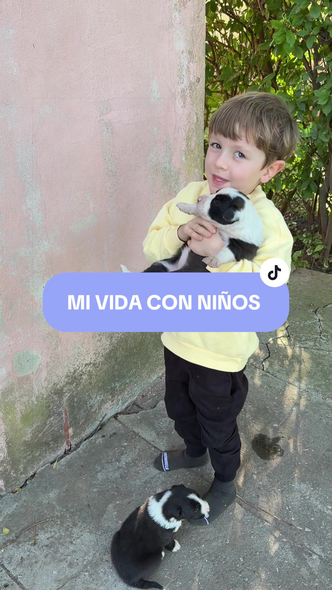 @Chechu