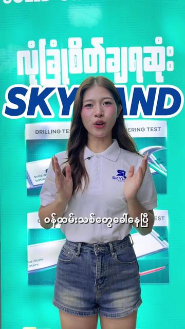 @SkyLand Electronic