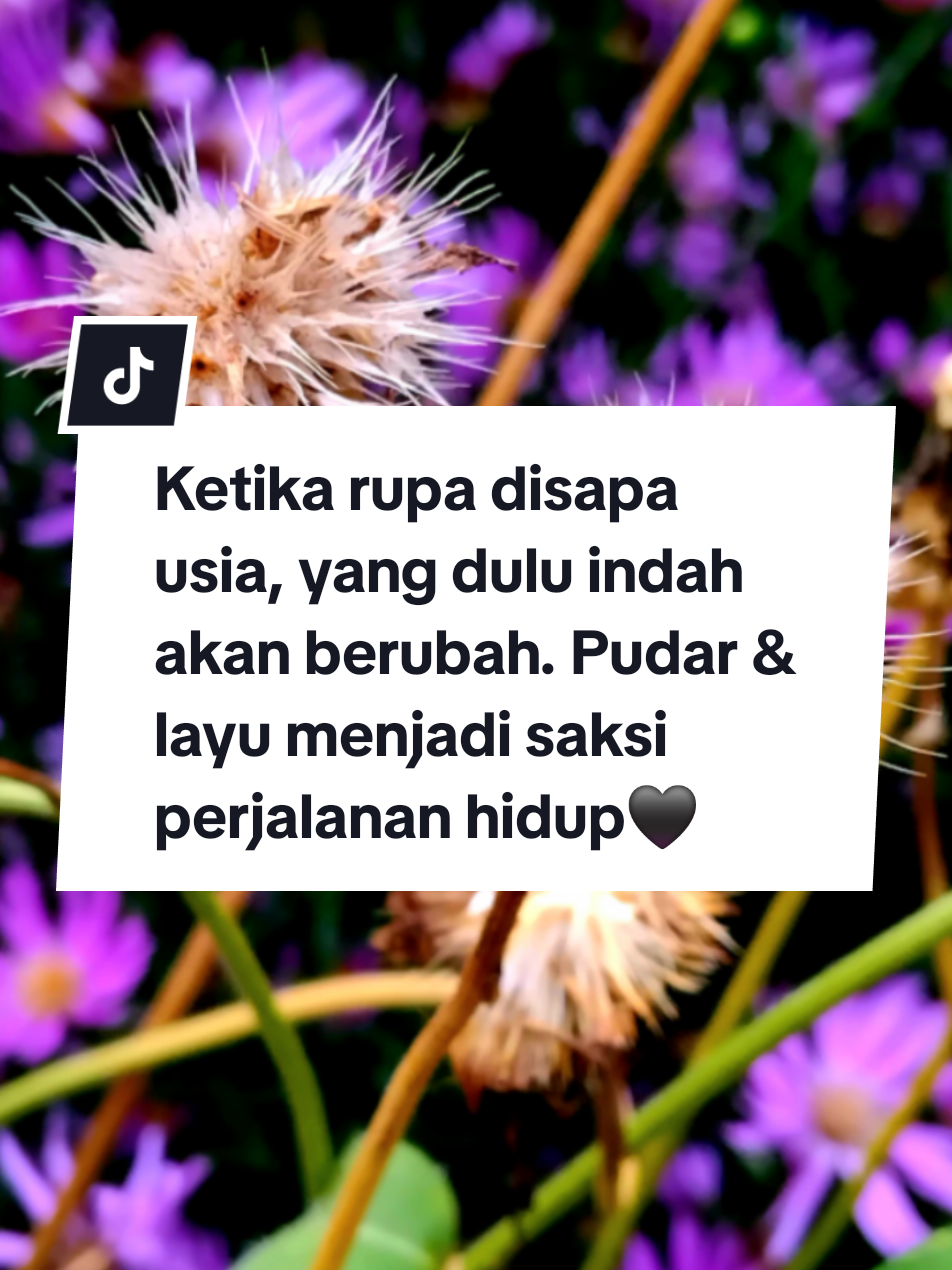@Hayati Mummiey