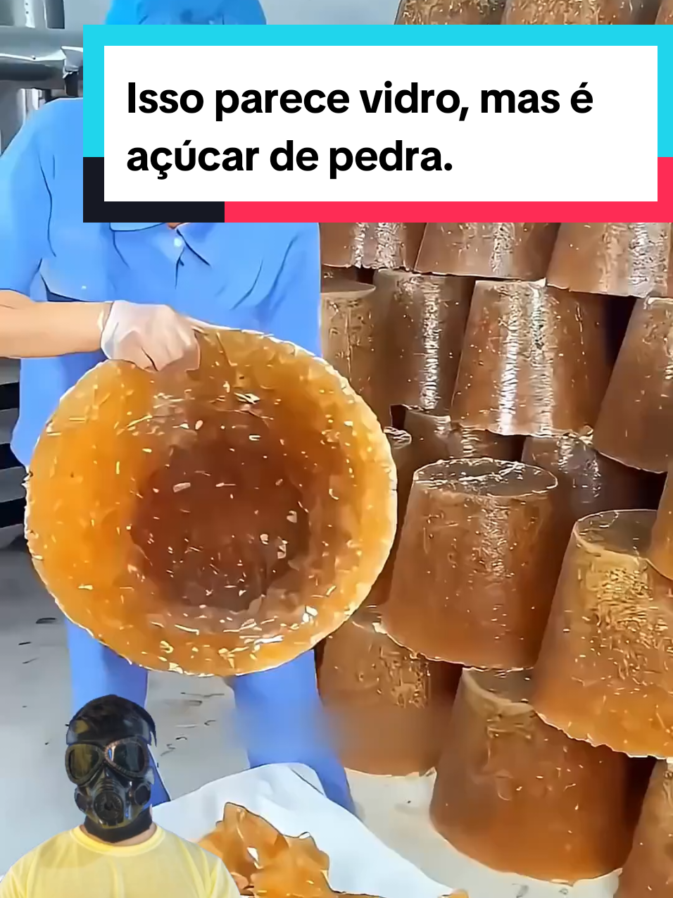 @Mundo da Curiosidades