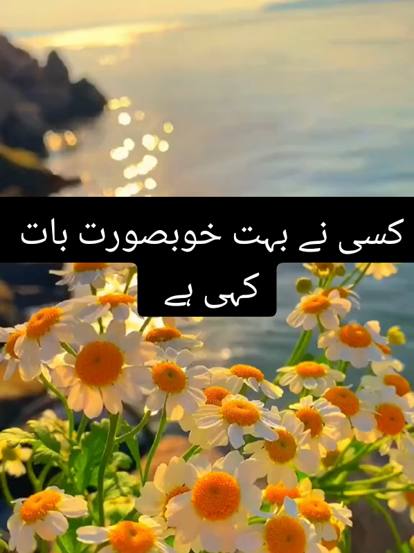 @عکس تحریر