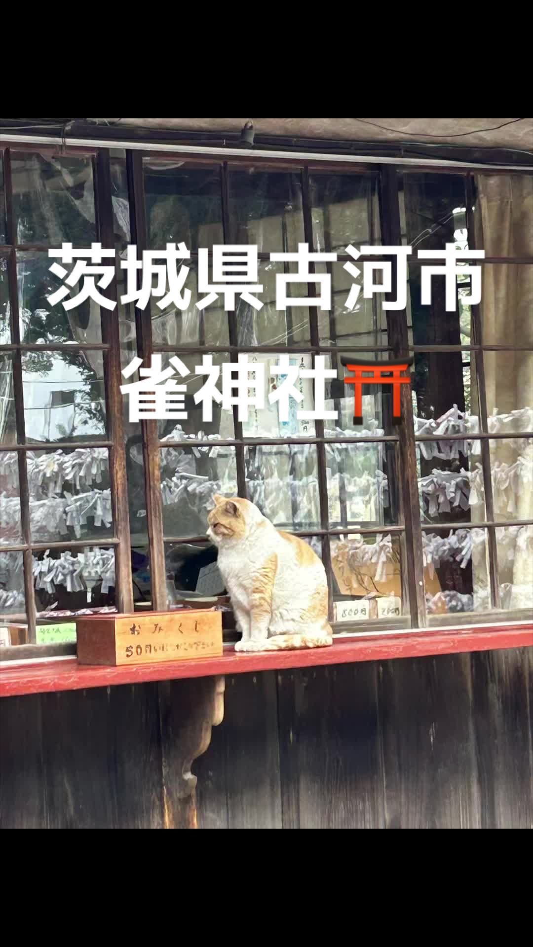 @♡さくらの♡