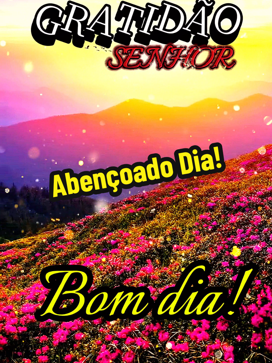 @César A. A. Santos