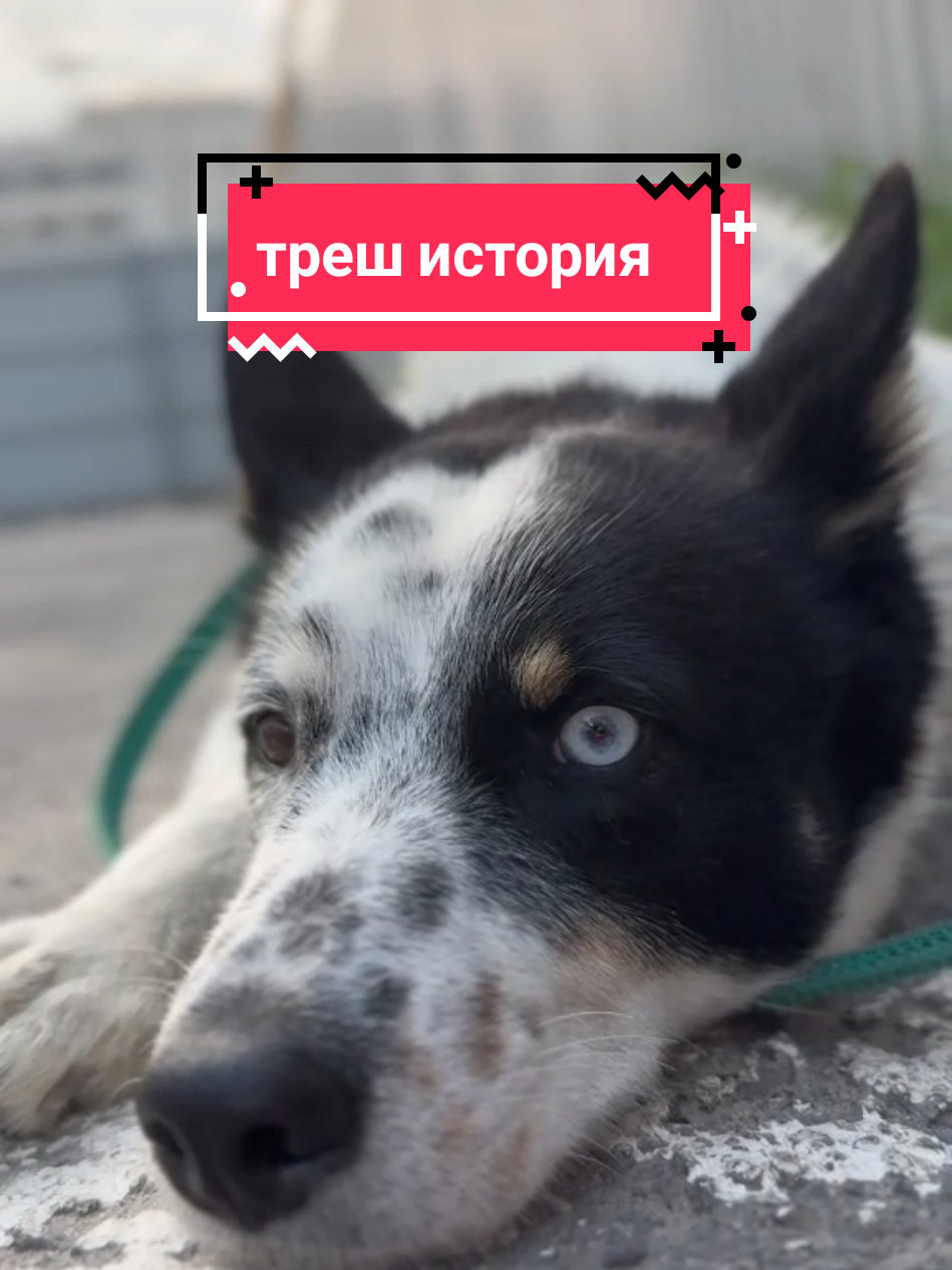 @Калыван