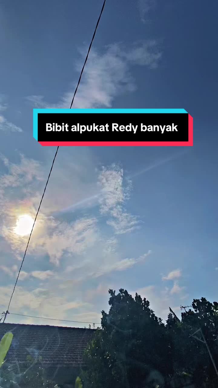 @sinar Bibitt