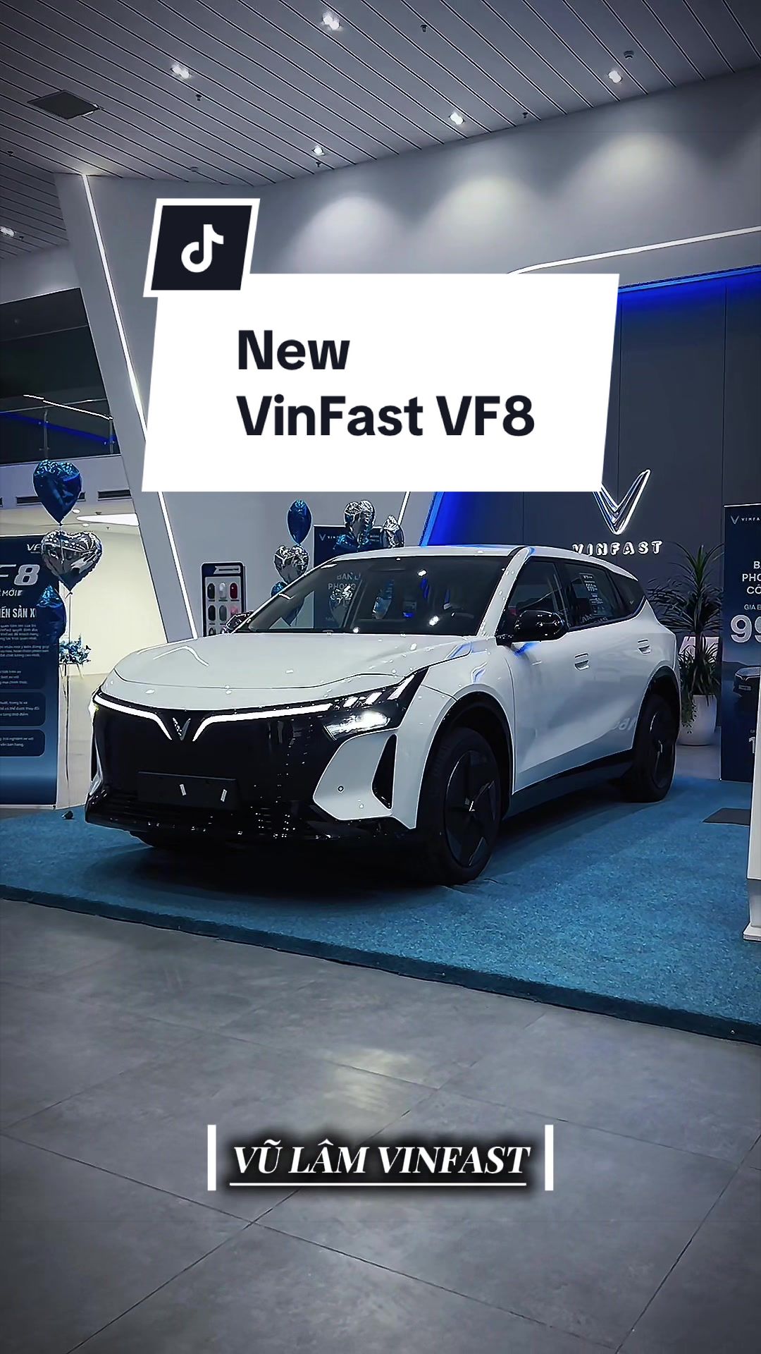 @Vũ Lâm VinFast🚘🍀