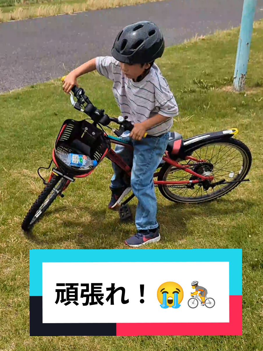 @ビスイ