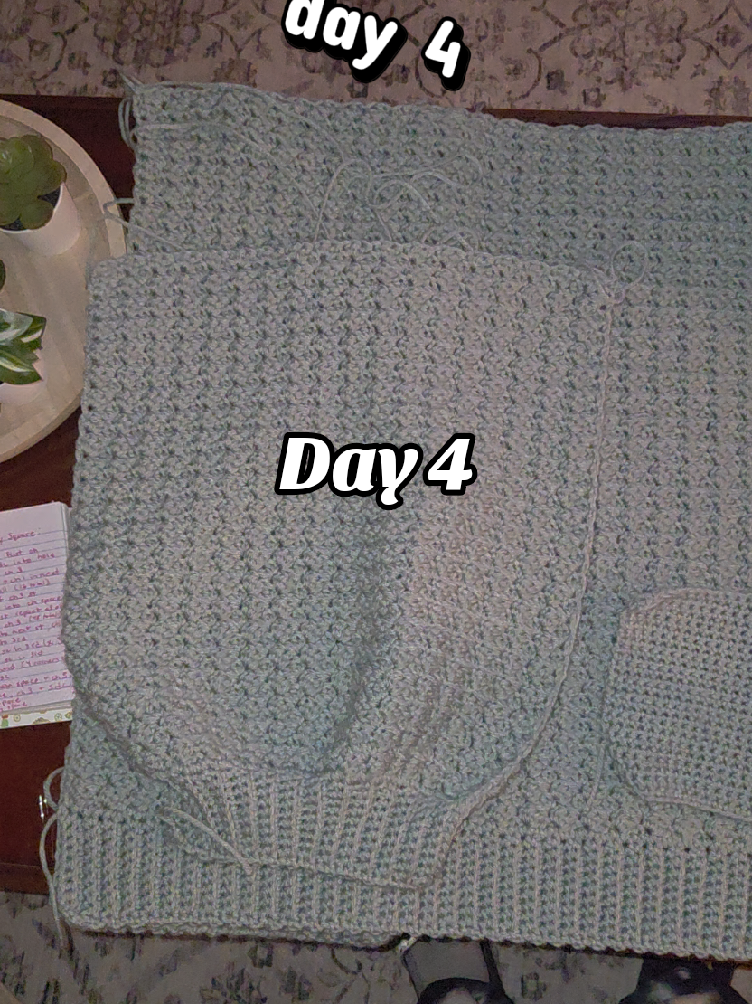 @Lizzey The Crochet Lady