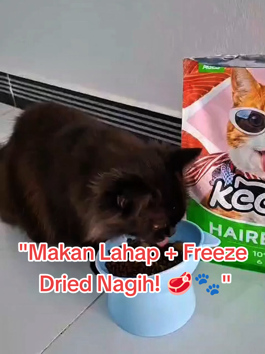 @Medayo Petcare