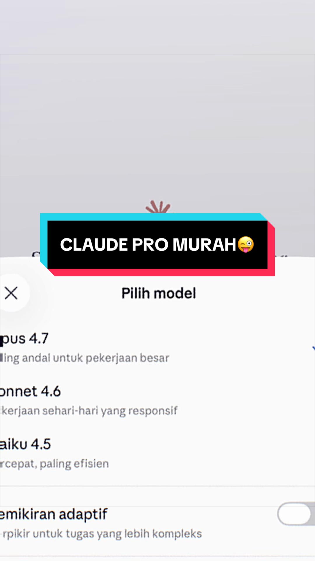 @Pastipremium.id
