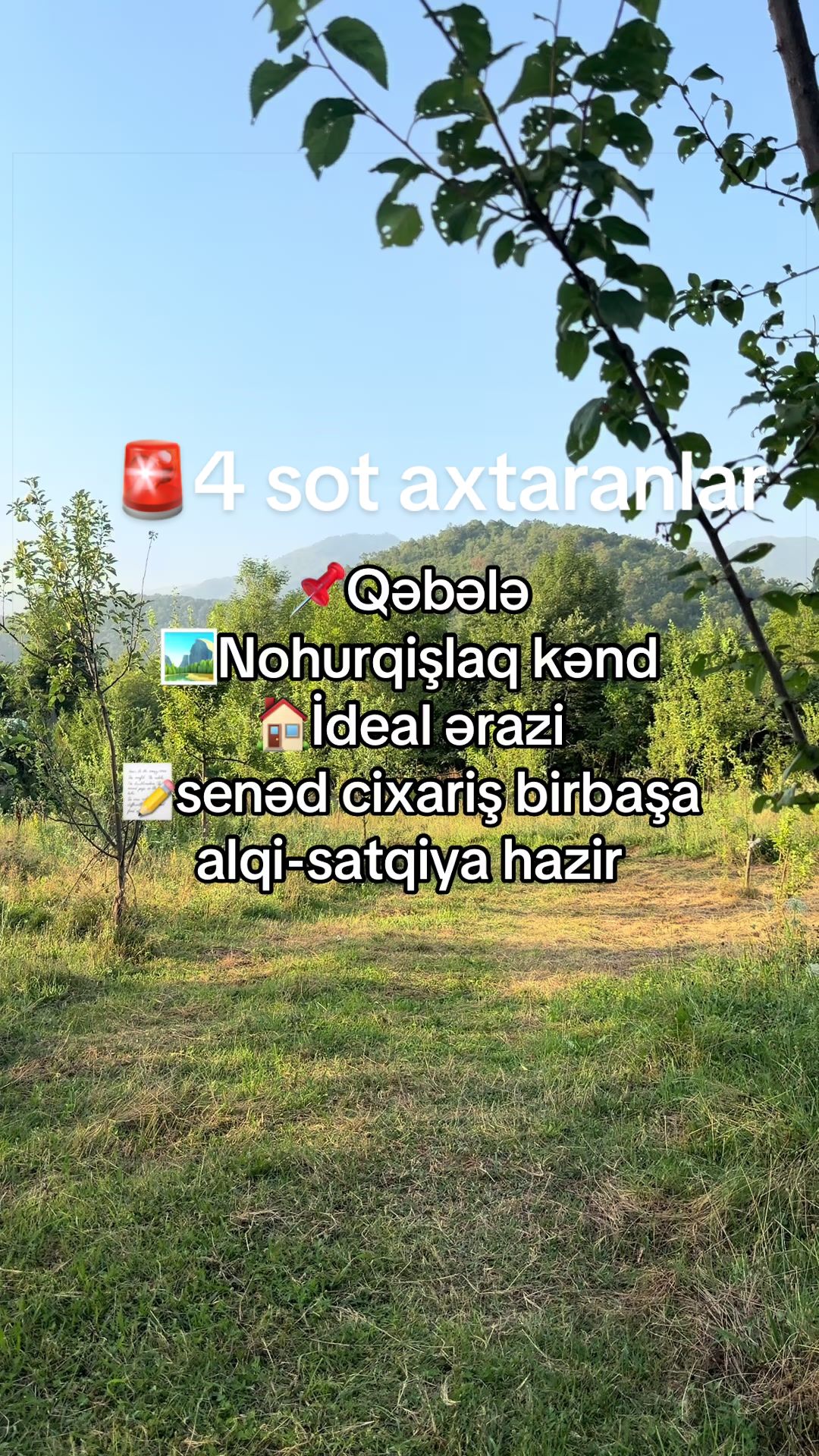 @Qəbələ Əmlak Ruzi