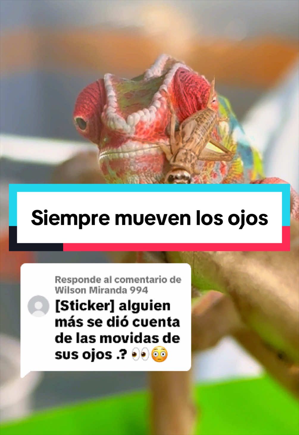 @ReptilMania