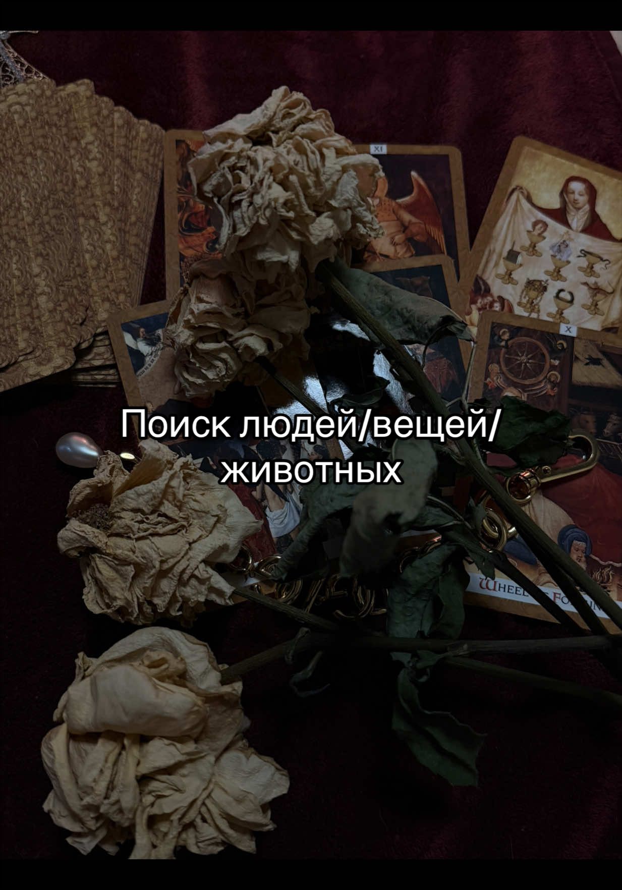 @⛧ Любовница Сатаны ⛧🥀🦇🩸