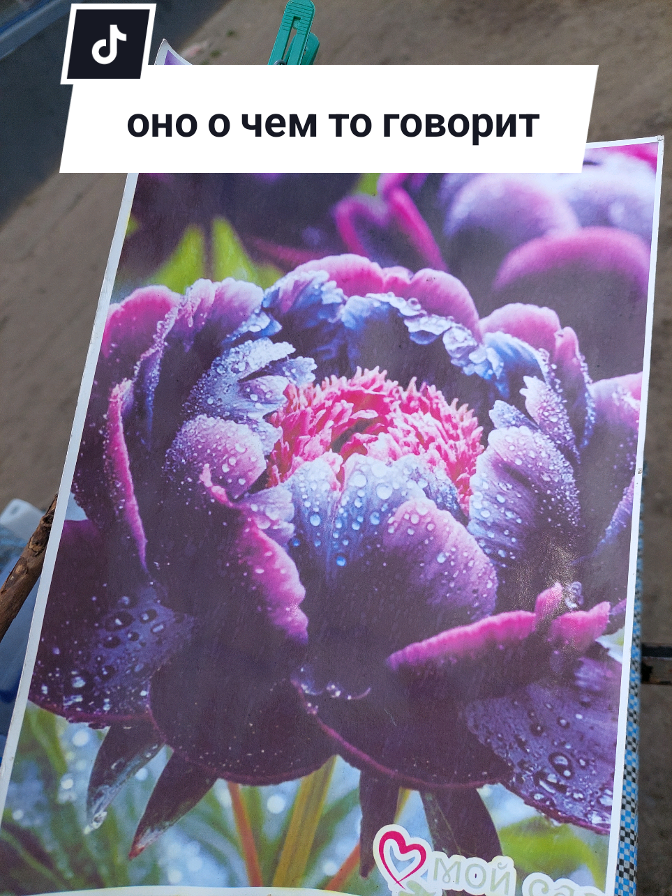 @Рыся✔️🇧🇾