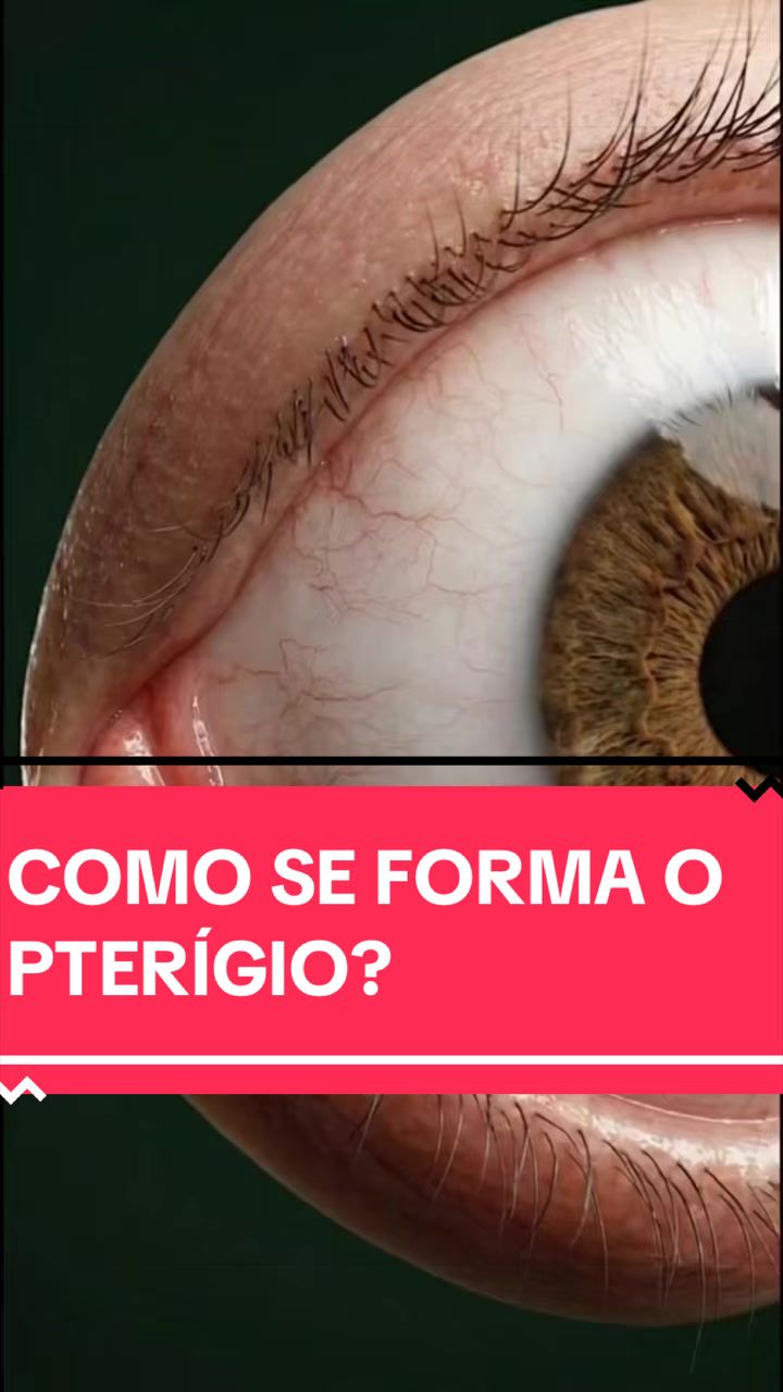 @Dr.André.Sigueta