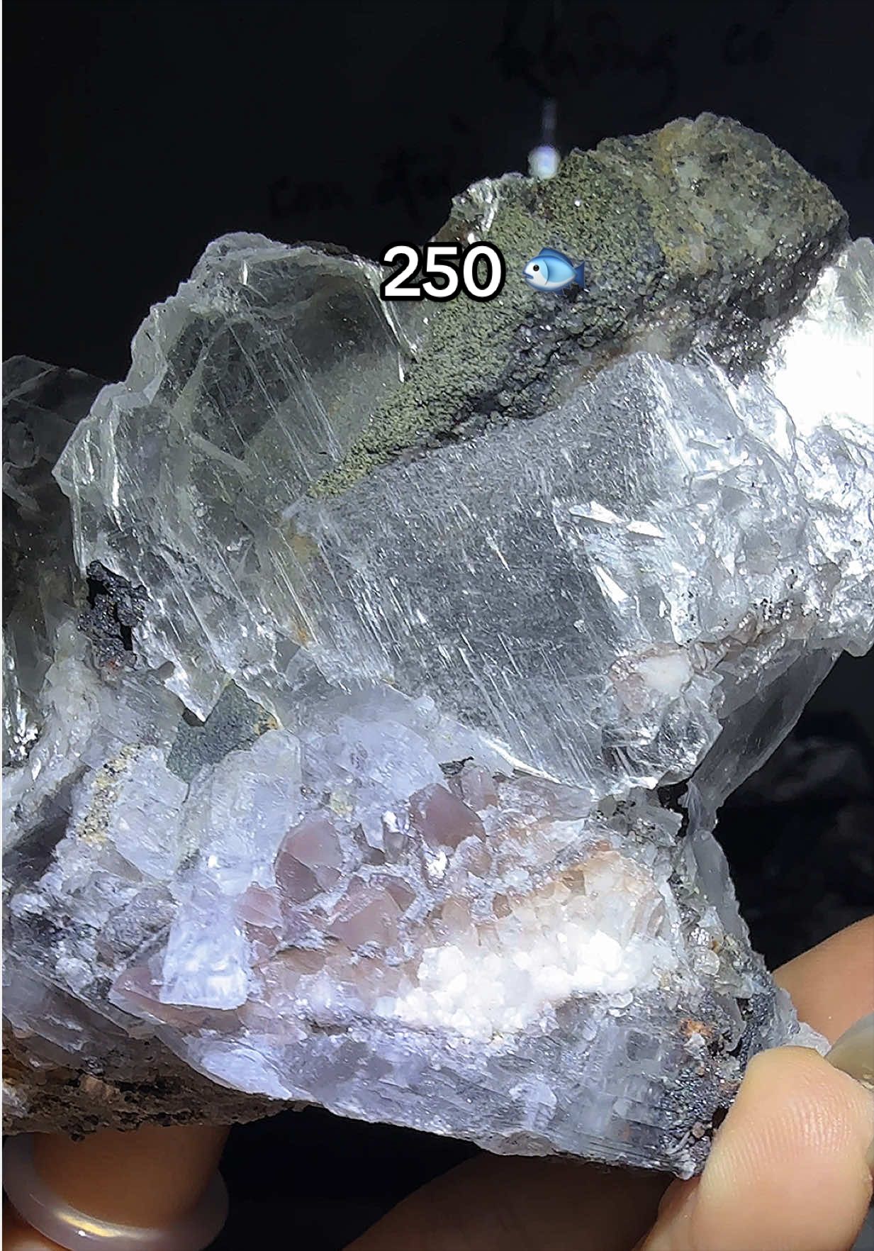 @Halen Crystal