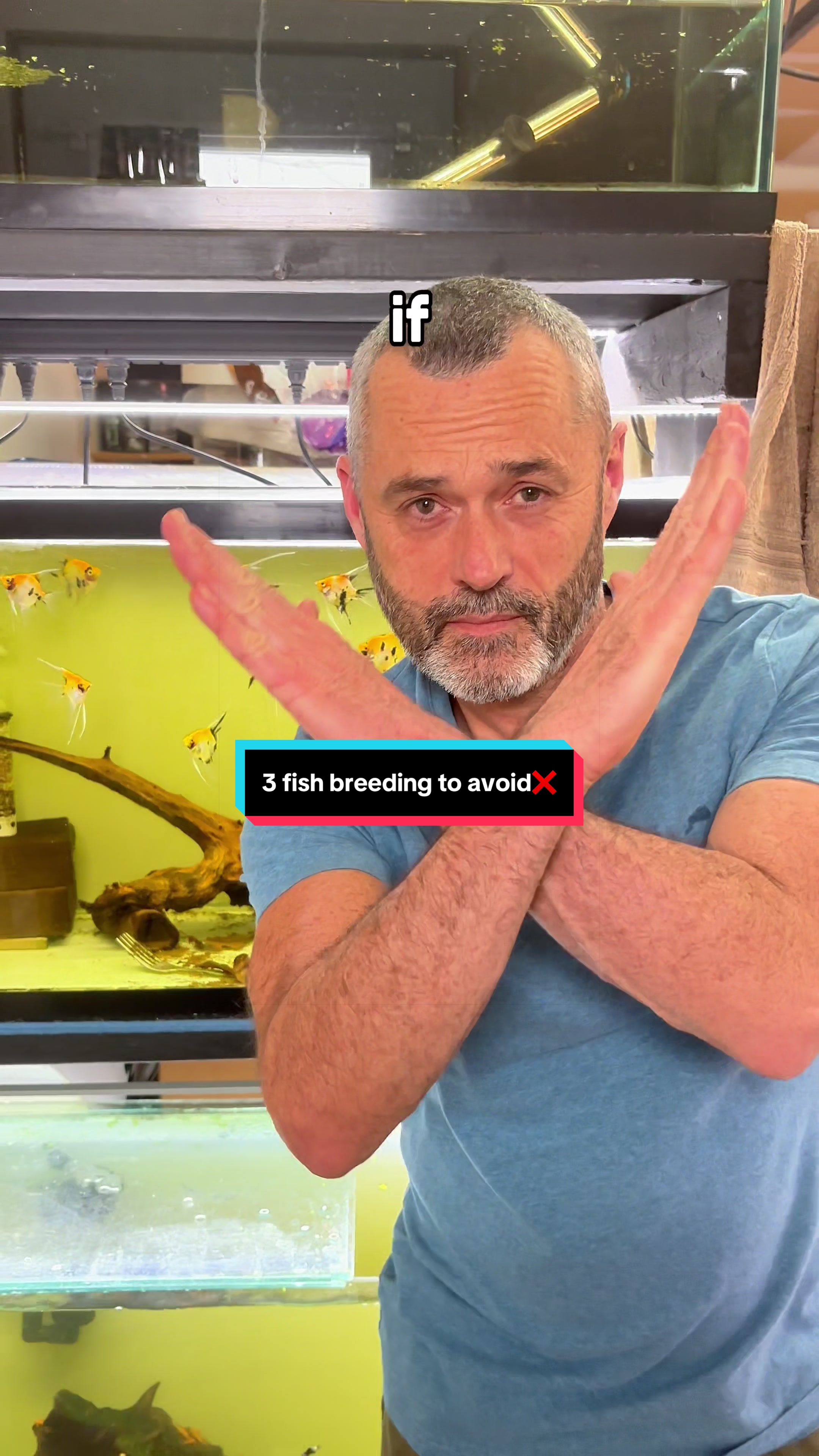 @ShrimplyTheBest
