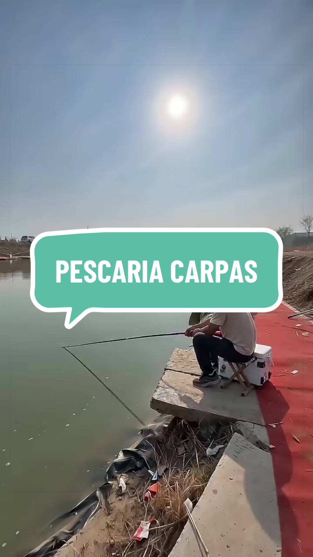 @diogopescarias