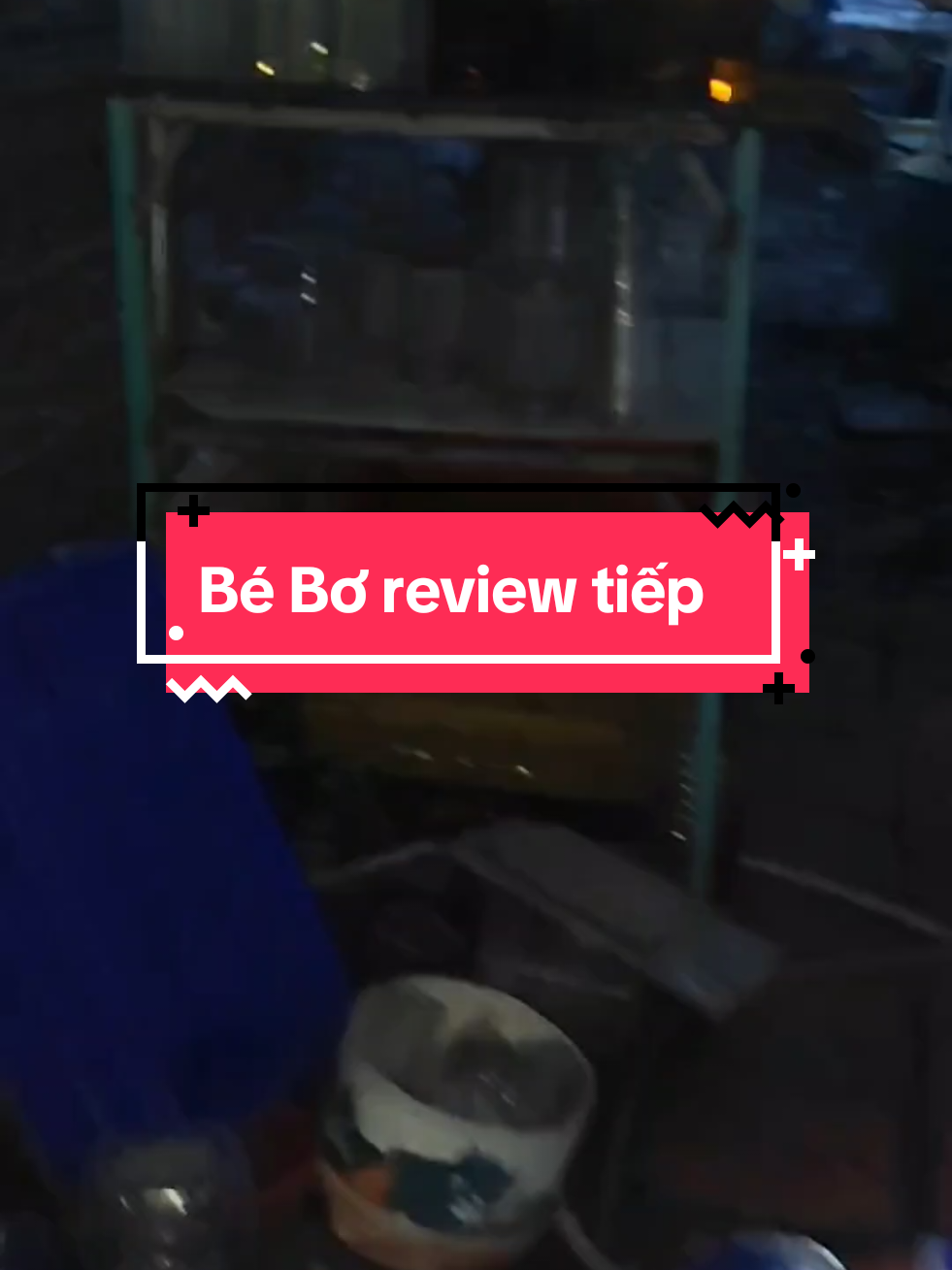 @Nhi Nguyễn Betta