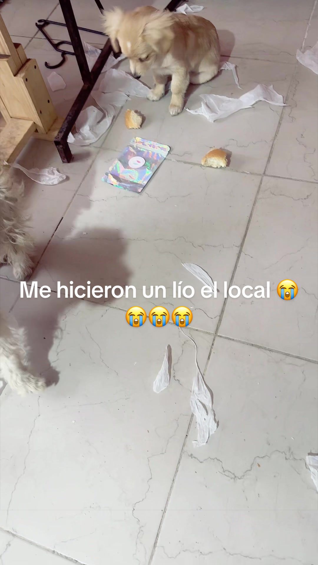 @LulyRojas