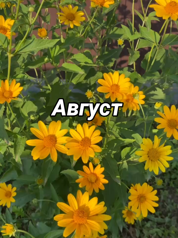 @Деревенская бабушка