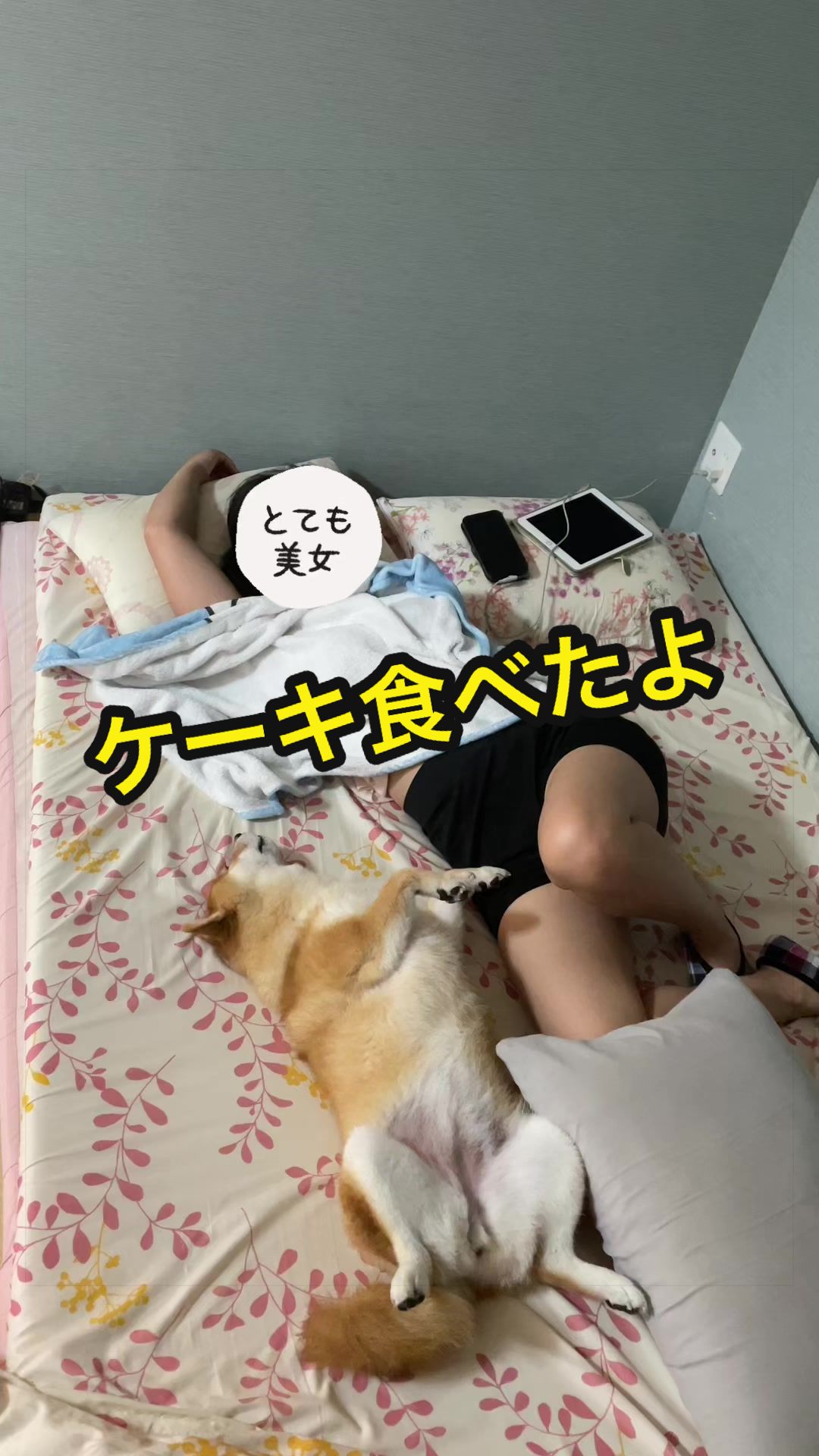 @特に柴犬が好きな人