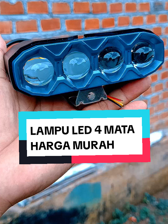 @yunfa lovers