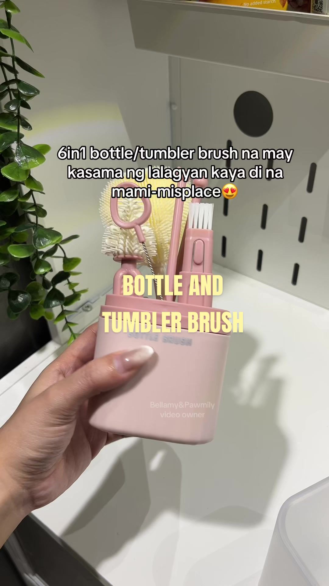 @Bellamy&Pawmily