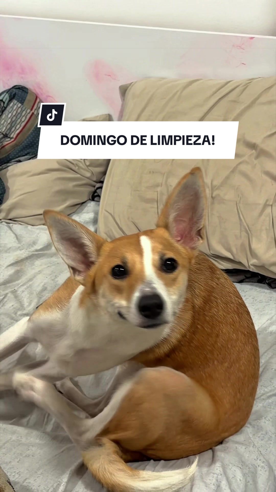 @Chini