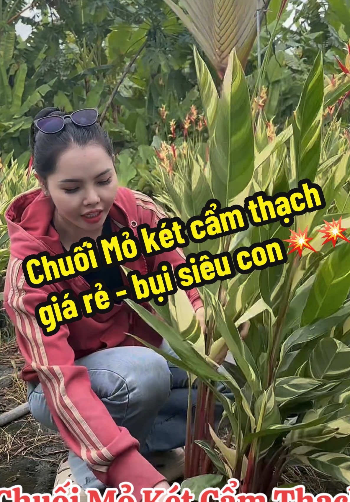 @Tiệm L&aacute; Nhỏ