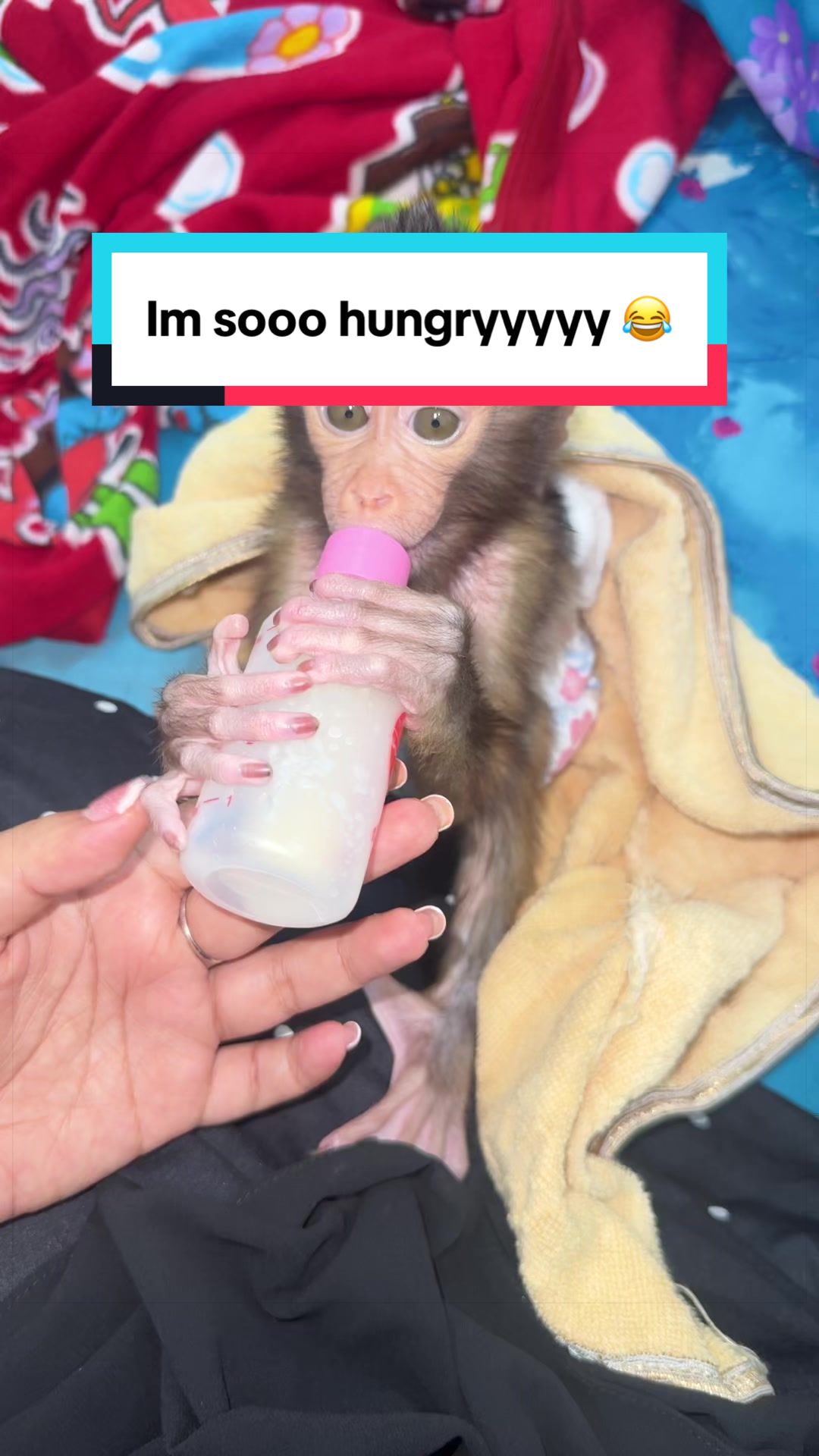 @stevv_
