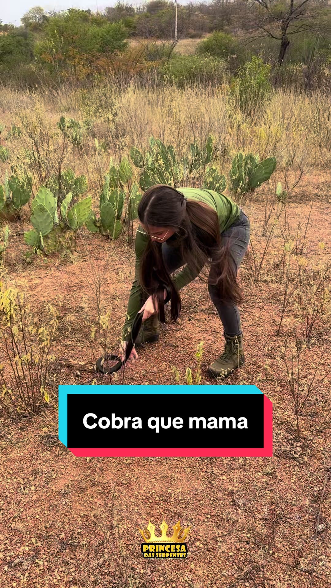 @Princesa das Serpentes