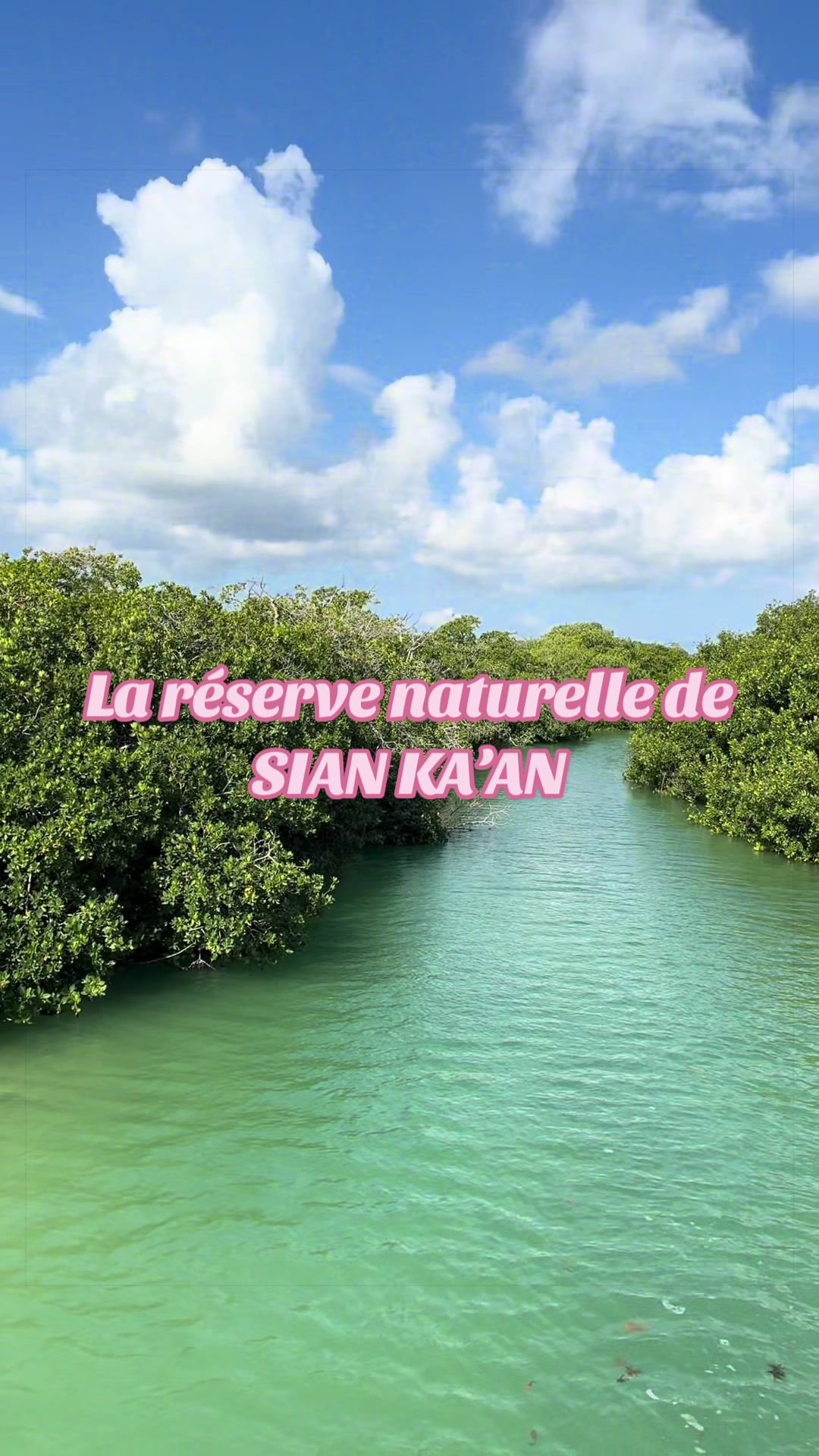 @xamanexperience