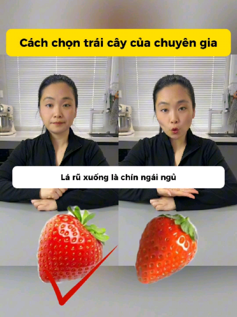 @T&Ocirc;̉NG TÀI N&Ocirc;̣I TRỢ 🍳