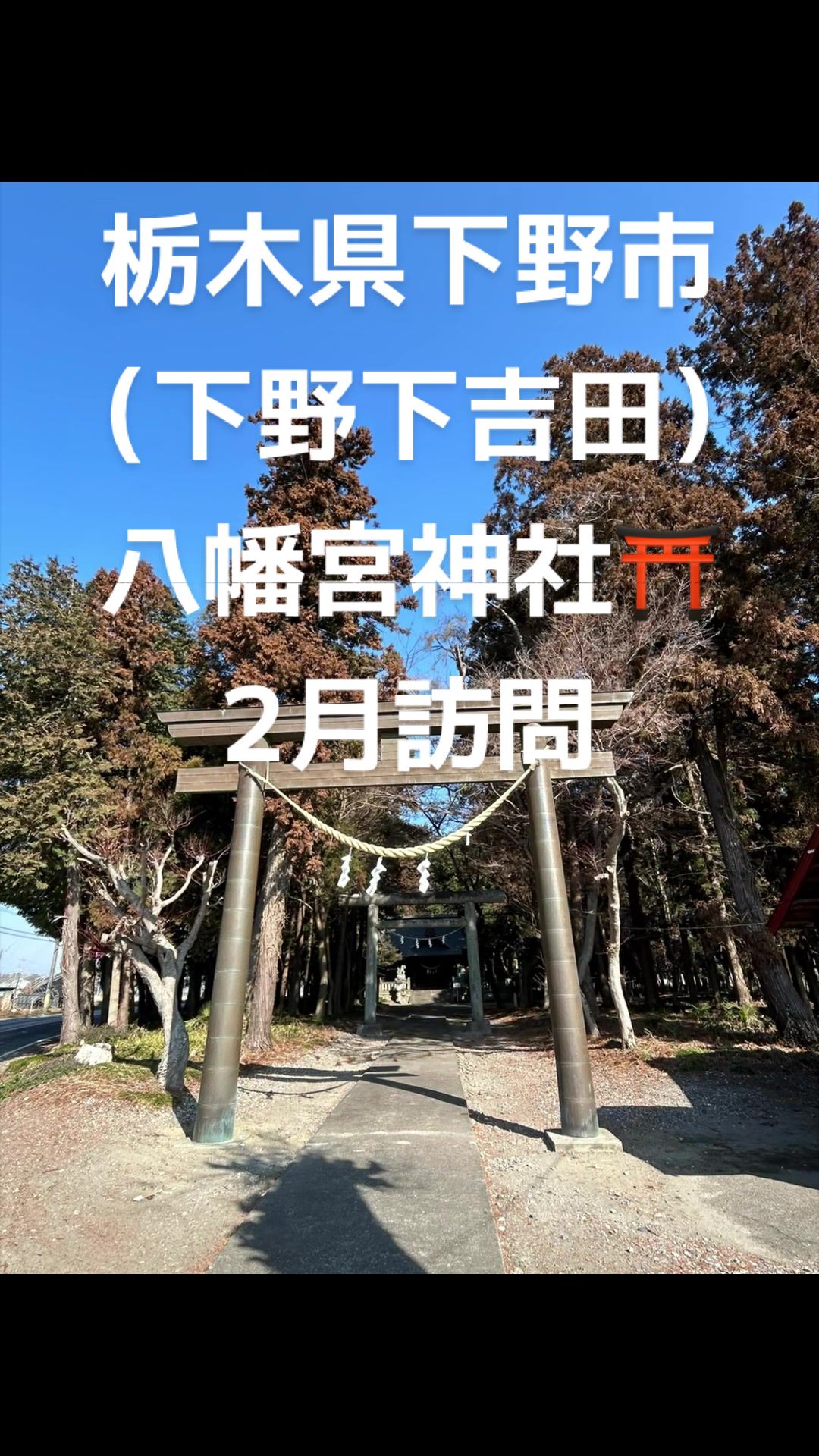 @♡さくらの♡
