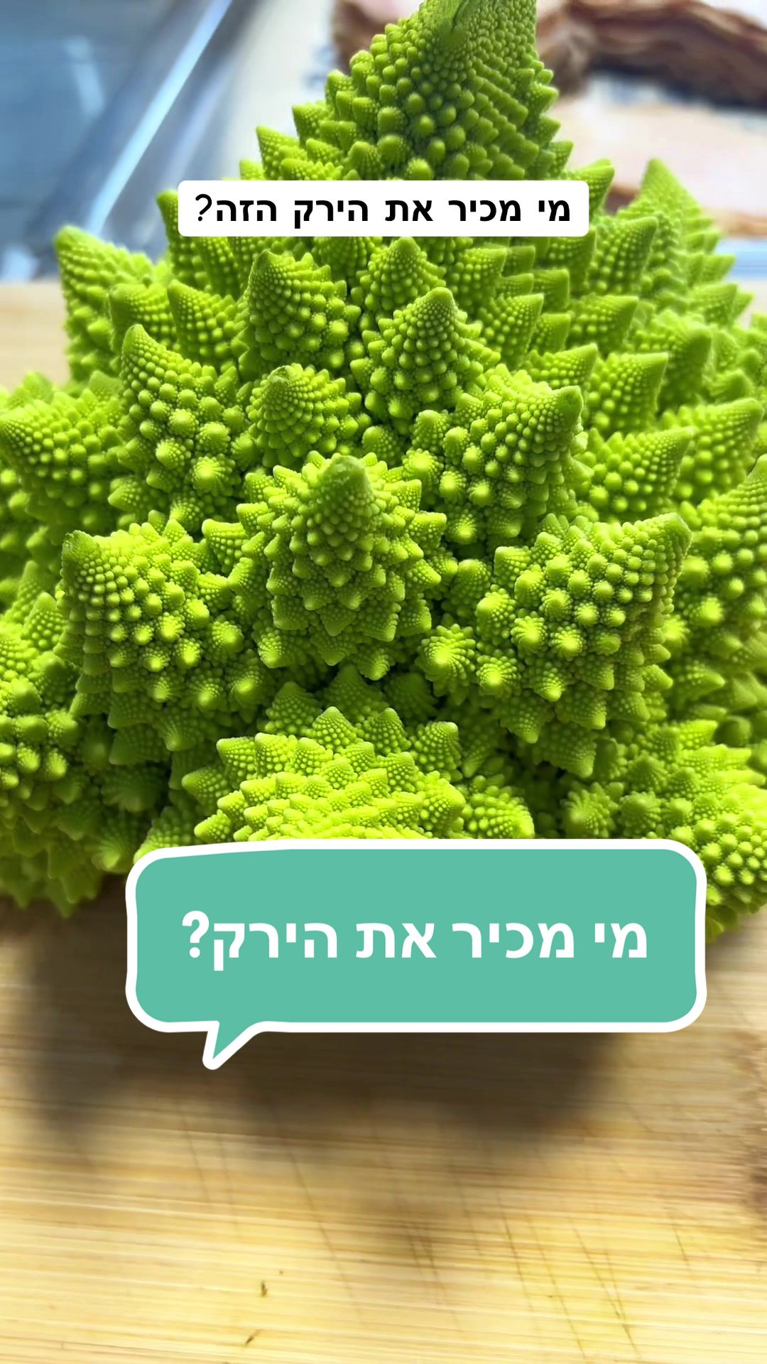 @Elior rein | אליאור ריין
