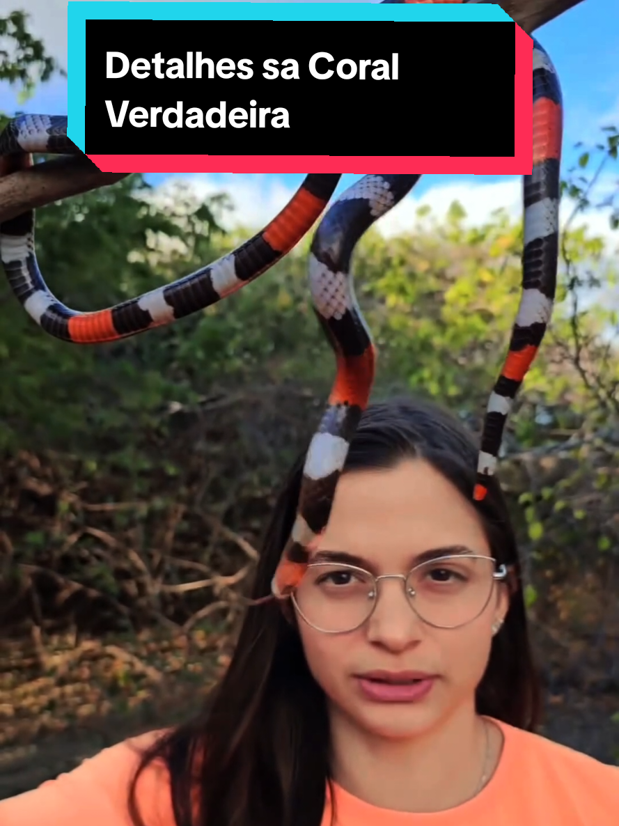 @Princesa das Serpentes