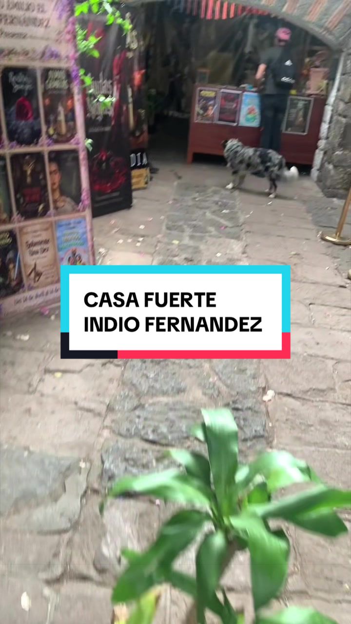 @Lorenzo Pérez Cuevas