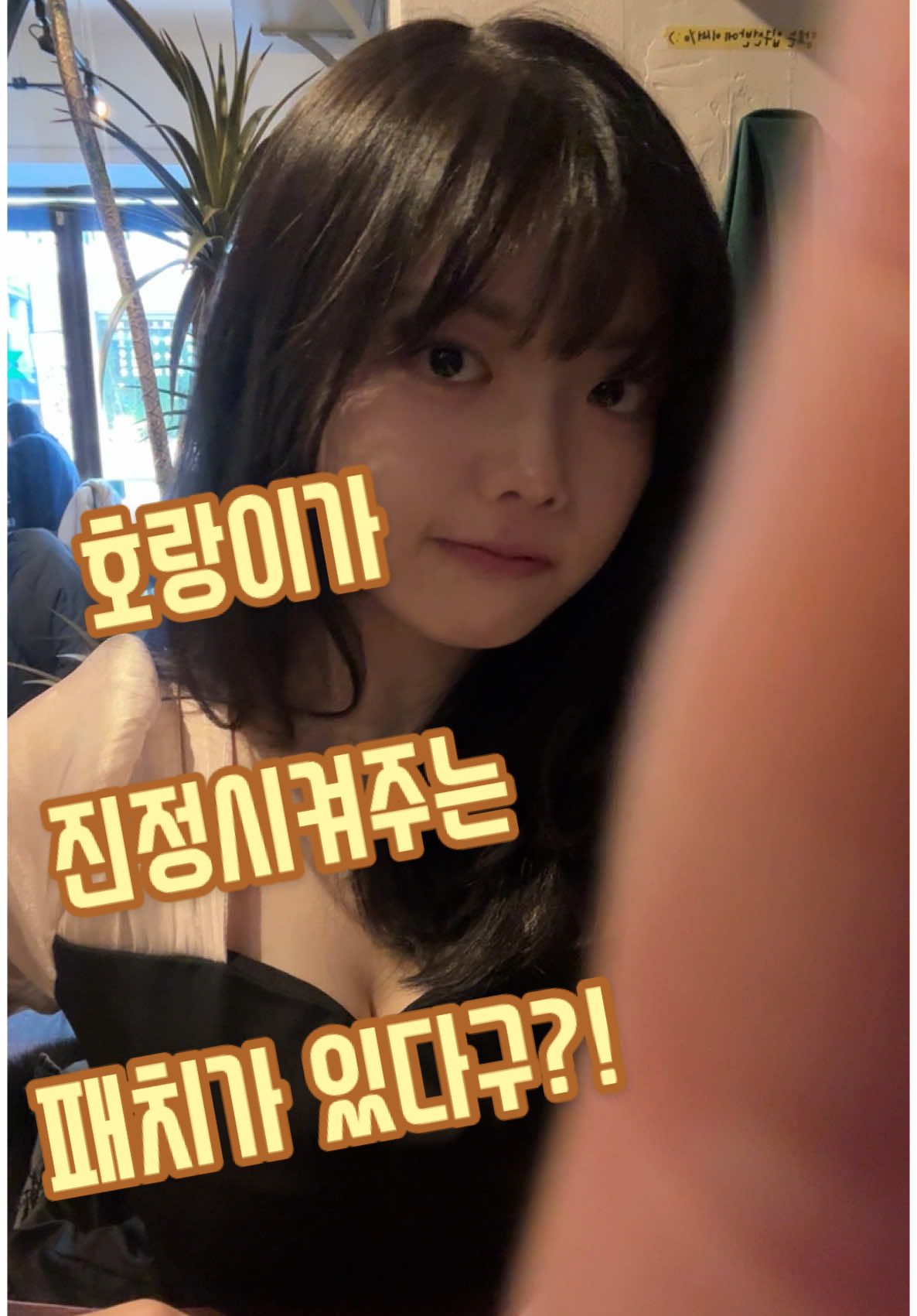 @디아주/diaju🐧