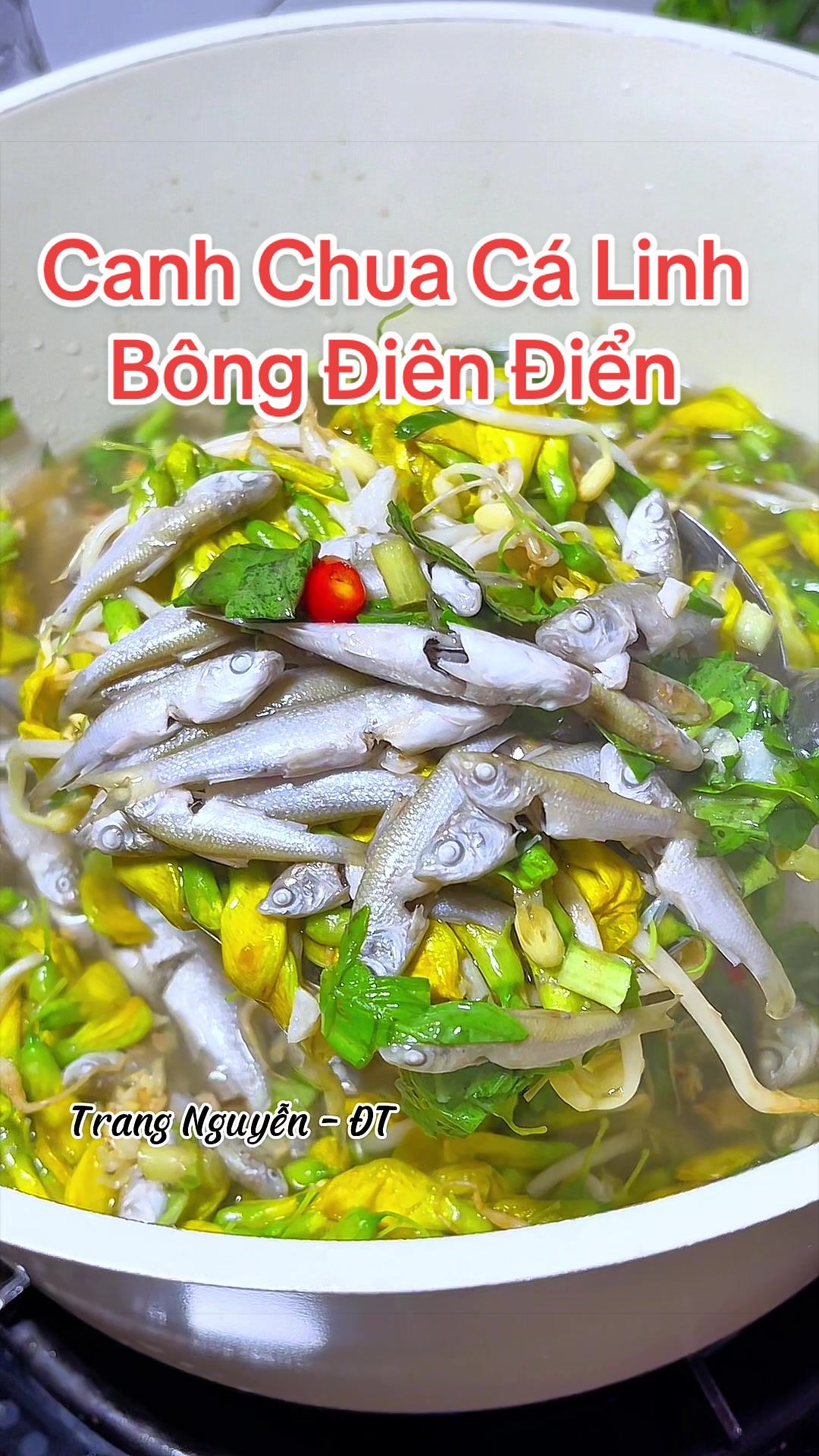 @Trang Nguyễn - ĐT