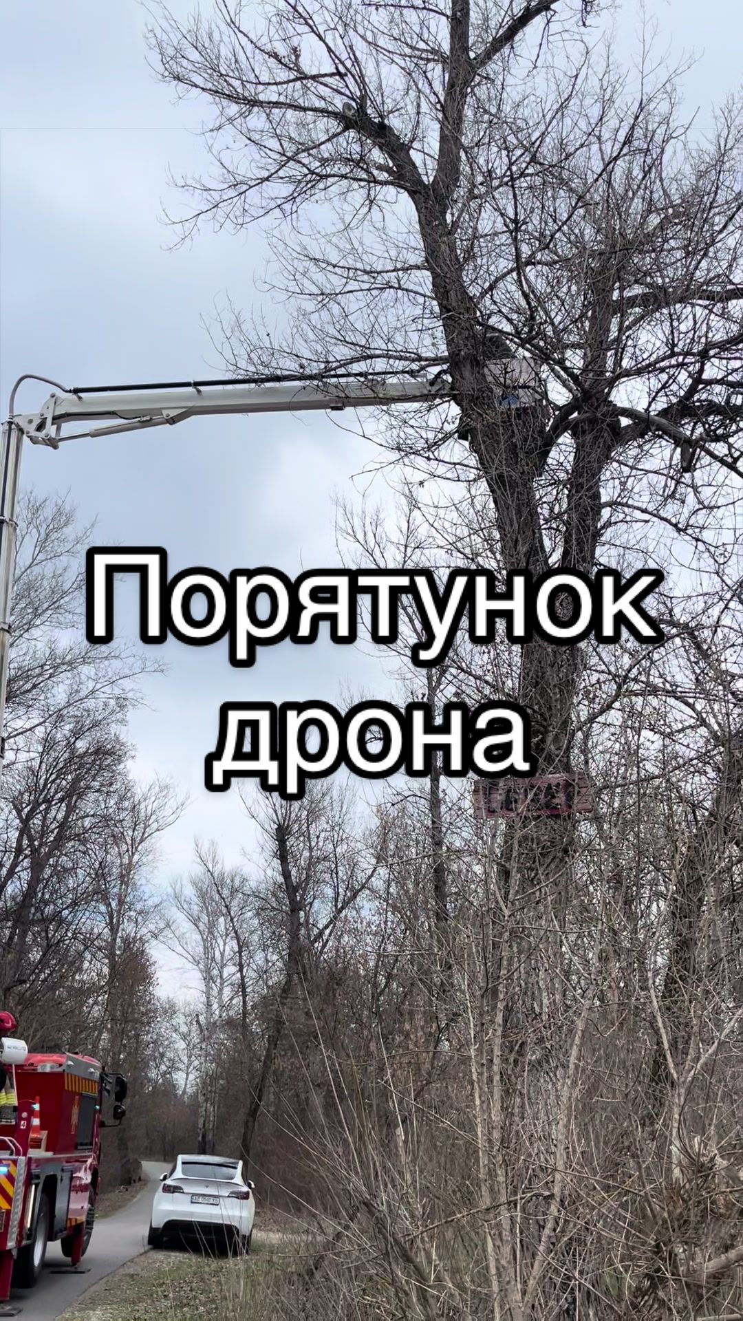 @Serhii Ludenskyi