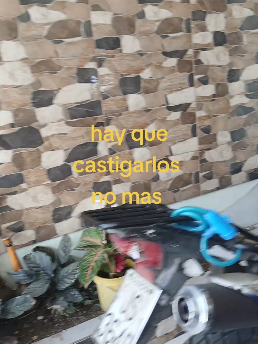 @maryi ⚘️mora