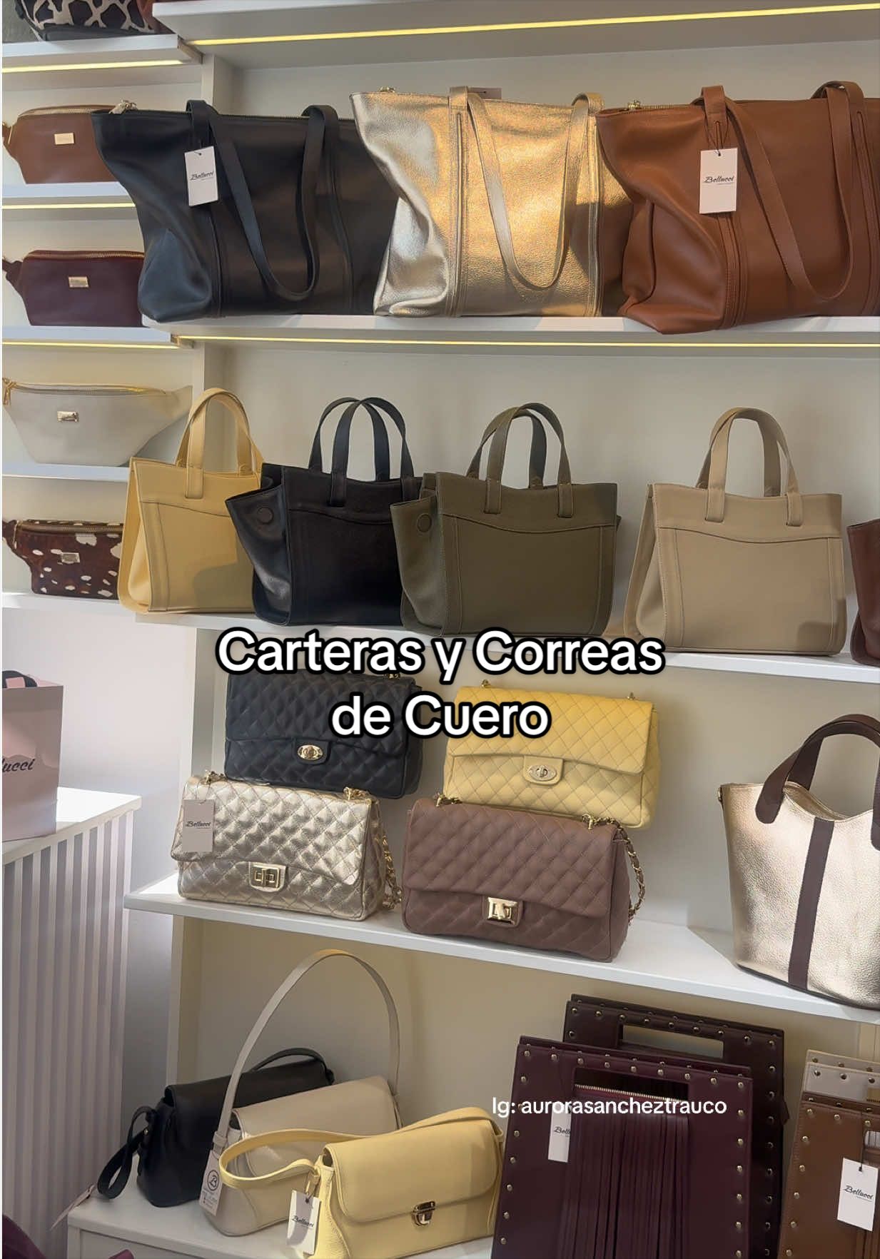 @aurorasancheztrauco