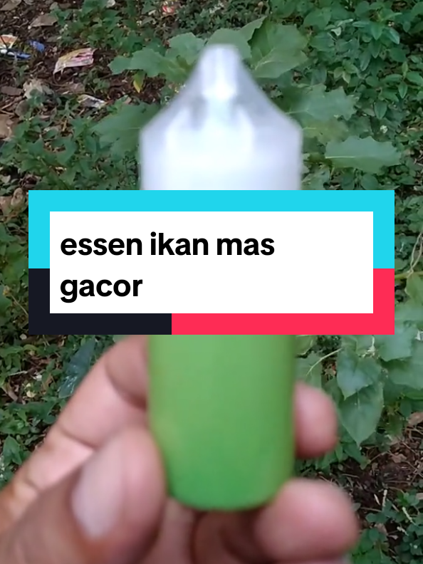 @Berkah FS