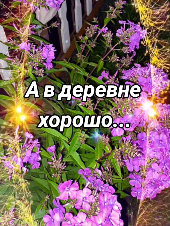 @Деревенская бабушка