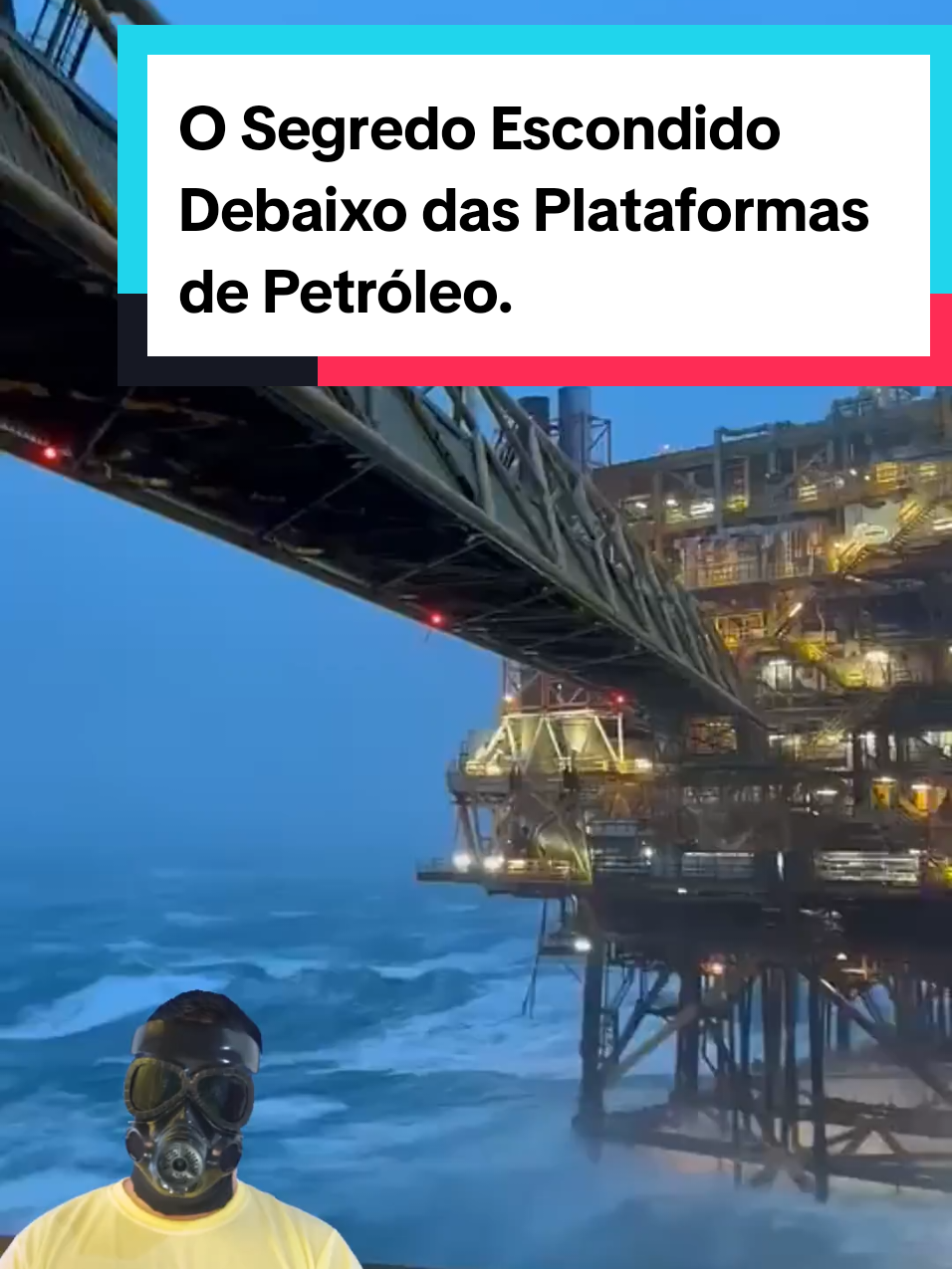 @Mundo da Curiosidades
