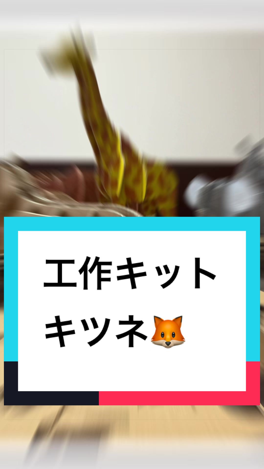 @ダンボール王子🌏♾️🐦&zwj;🔥