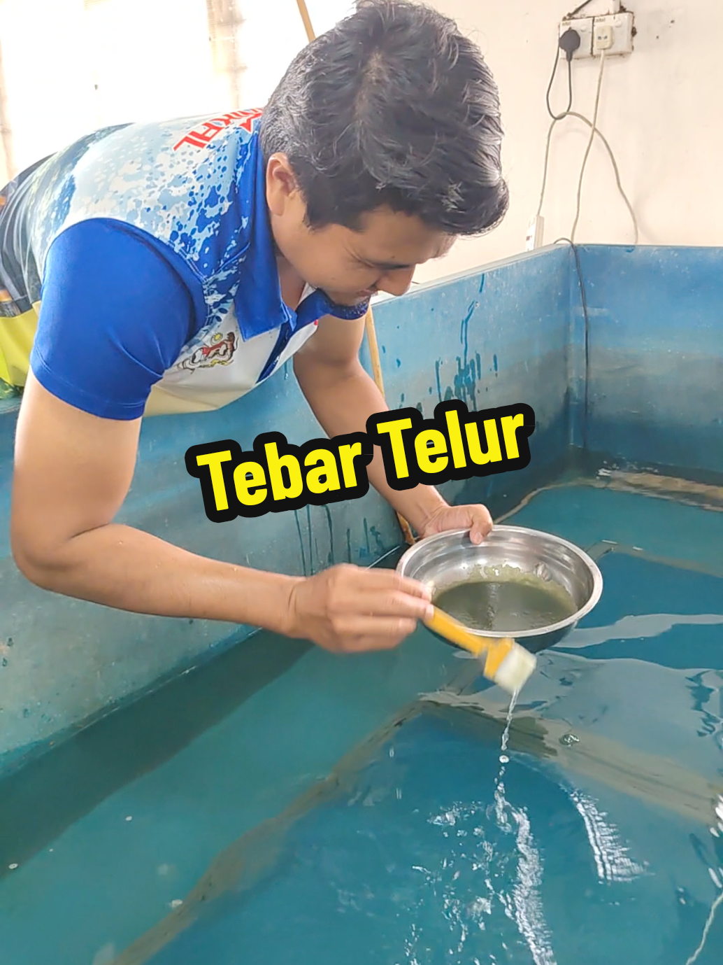 @DiZuL