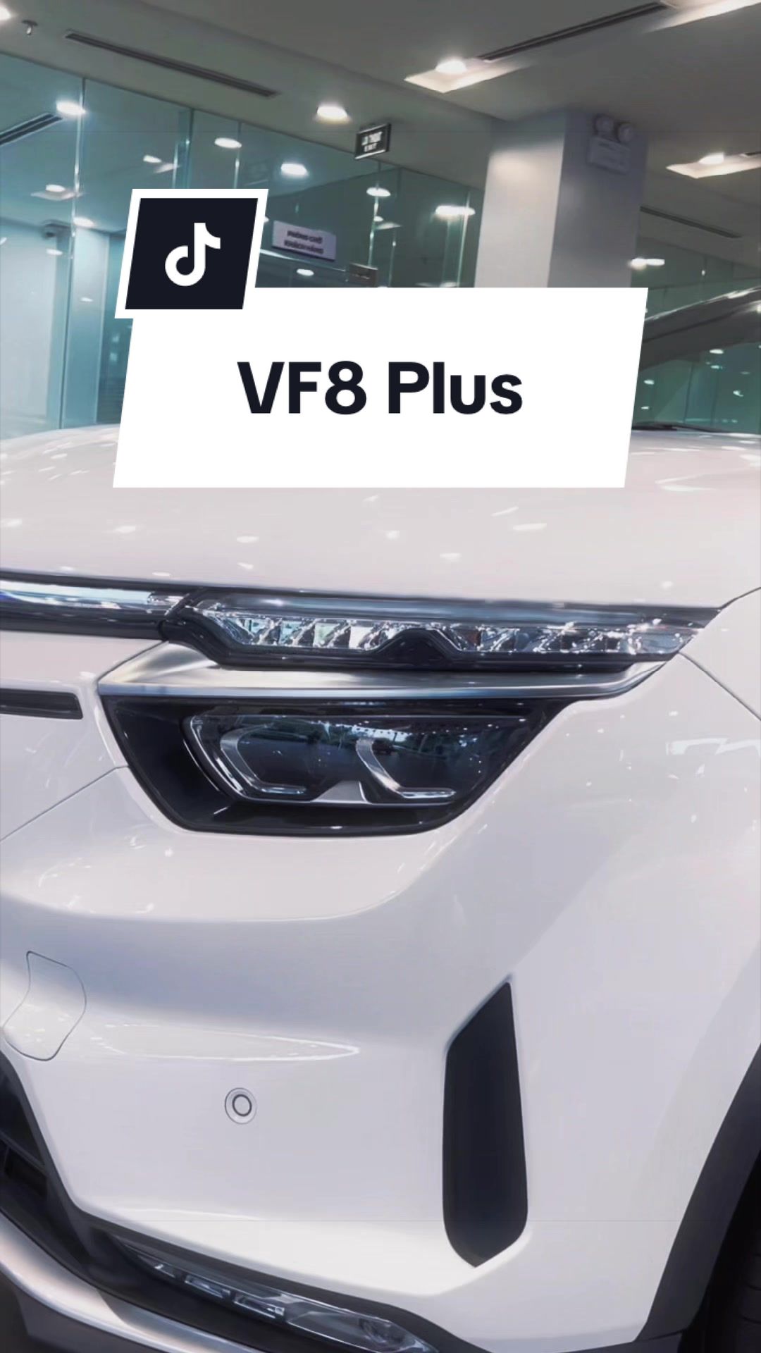 @Vũ Lâm VinFast🚘🍀