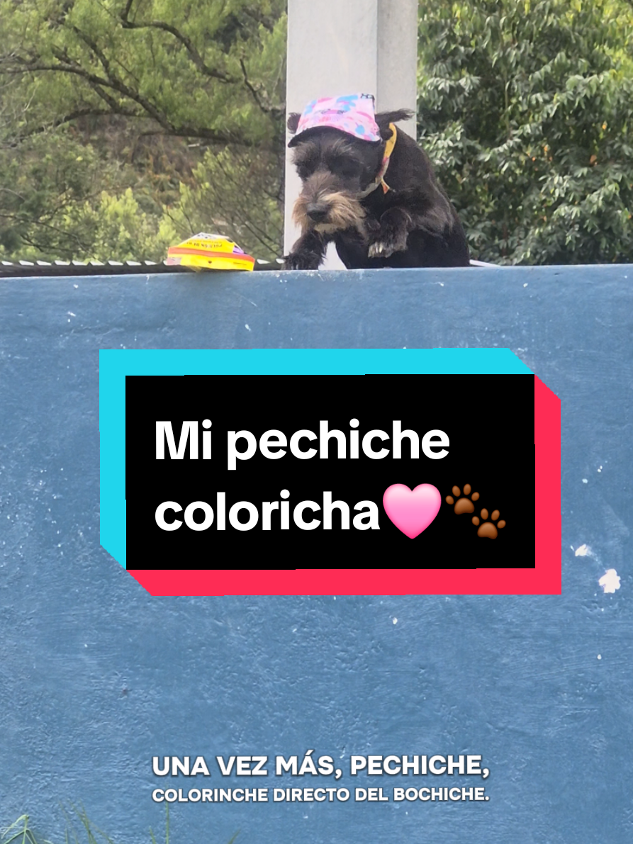 @𝕀ℕ𝕊𝕋ℝ𝕌ℂ𝕋𝕆ℝ 𝕂𝟡 𝔼.ℂ